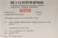 登錄號:F0035021藏品圖，第2張