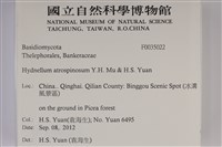 登錄號:F0035022藏品圖，第2張