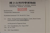 登錄號:F0035023藏品圖，第2張