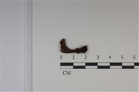 登錄號:F0035023藏品圖，第1張