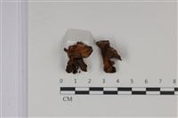 登錄號:F0035024藏品圖，第1張