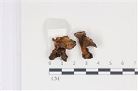 登錄號:F0035024藏品圖，第3張
