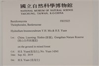 登錄號:F0035025藏品圖，第2張