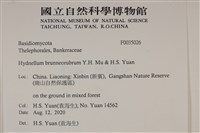 登錄號:F0035026藏品圖，第2張