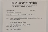 登錄號:F0035027藏品圖，第2張