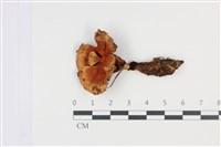 登錄號:F0035027藏品圖，第1張