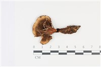 登錄號:F0035027藏品圖，第3張