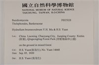登錄號:F0035028藏品圖，第2張