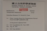 登錄號:F0035029藏品圖，第2張
