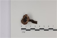登錄號:F0035029藏品圖，第1張
