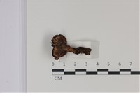 登錄號:F0035029藏品圖，第3張