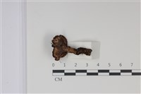 登錄號:F0035029藏品圖，第5張
