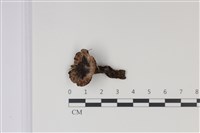 登錄號:F0035029藏品圖，第7張