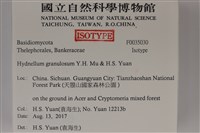 登錄號:F0035030藏品圖，第2張
