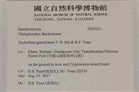 登錄號:F0035031藏品圖，第2張