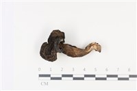 登錄號:F0035031藏品圖，第1張