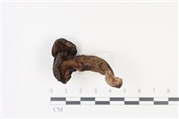 登錄號:F0035031藏品圖，第3張