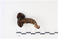 登錄號:F0035031藏品圖，第4張