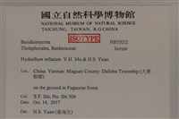 登錄號:F0035032藏品圖，第2張