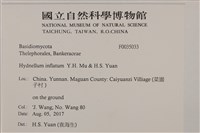 登錄號:F0035033藏品圖，第2張