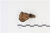 登錄號:F0035033藏品圖，第1張