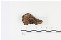 登錄號:F0035033藏品圖，第3張