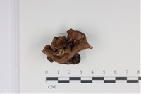 登錄號:F0035034藏品圖，第1張