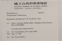 登錄號:F0035035藏品圖，第2張