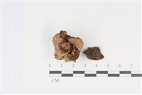 登錄號:F0035035藏品圖，第1張