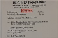 登錄號:F0035037藏品圖，第2張