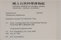 登錄號:F0035038藏品圖，第2張