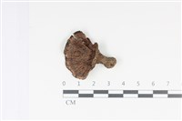 登錄號:F0035038藏品圖，第1張
