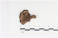 登錄號:F0035038藏品圖，第3張