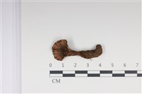 登錄號:F0035039藏品圖，第1張