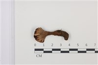 登錄號:F0035039藏品圖，第3張