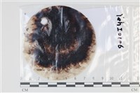 登錄號:F0035041藏品圖，第1張