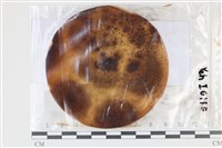 登錄號:F0035043藏品圖，第1張