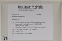 登錄號:F0035045藏品圖，第2張