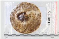 登錄號:F0035045藏品圖，第1張