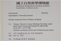 登錄號:F0035046藏品圖，第2張
