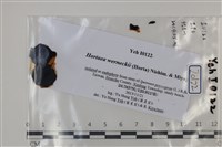 登錄號:F0035046藏品圖，第3張