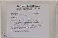 登錄號:F0035047藏品圖，第2張