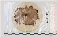 登錄號:F0035047藏品圖，第1張
