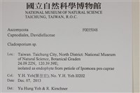 登錄號:F0035048藏品圖，第2張