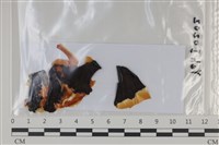 登錄號:F0035048藏品圖，第1張