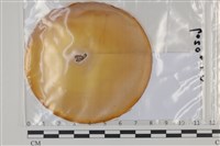 館號:F0035050藏品圖，第1張