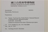 登錄號:F0035051藏品圖，第2張