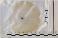 登錄號:F0035051藏品圖，第1張
