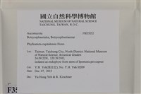 登錄號:F0035052藏品圖，第2張