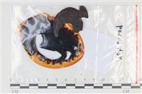 登錄號:F0035052藏品圖，第1張